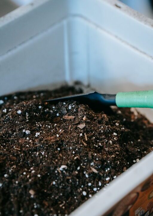 Beginner Tips for Composting at Home: A Simple Guide